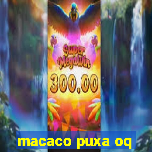 macaco puxa oq